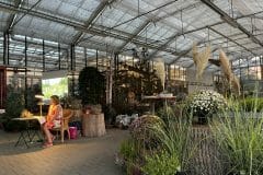 IMG_2834