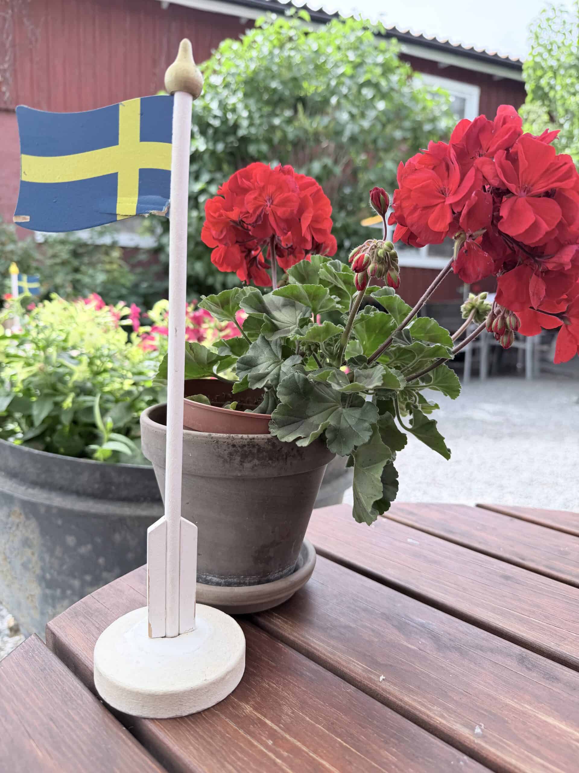 Eine kleine schwedische Flagge auf einem Ständer neben einer roten Geranie im Topf auf einem Holztisch.