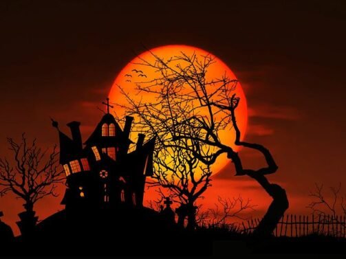 Silhouette eines gruseligen Hauses und kahler Bäume vor einem großen, orangefarbenen Vollmondhintergrund mit Vögeln, die am Himmel fliegen. {{brizy_dc_image_alt entityId=